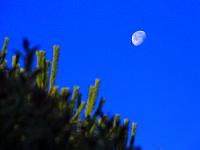 Astronomie 09  Der Mond &uuml;ber Italien am 20.06.2011 morgens um 06:00 Uhr.