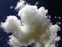 Wolken 17  Haufenwolken (Cumulus) am 03.04.2011 &uuml;ber Lonsee.