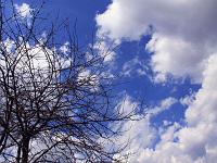Wolken 18  Haufenwolken (Cumulus) am 03.04.2011 &uuml;ber Lonsee.