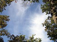 Wolken 28  Cirruswolken am 03.10.2013 &uuml;ber dem Landesgest&uuml;t Marbach.