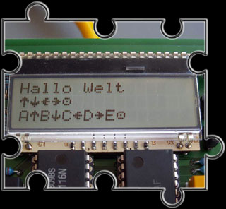 LCD-Display EA DOG-M